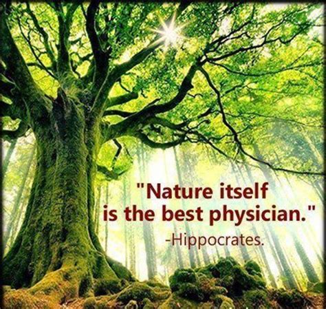Nature itself is the best physician | Natural medicine quotes, Nature quotes, Medicine quotes