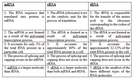 [Solved] Distinguish between the three types of RNA: mRNA, tRNA, rRNA. | Course Hero