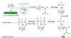 Ziegler-Natta Catalyst: Formula, Preparation, and Mechanism - GeeksforGeeks