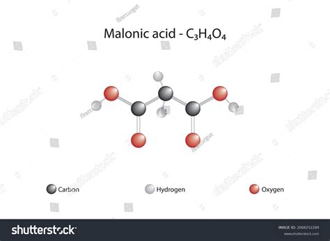 Malonic Acid Structure