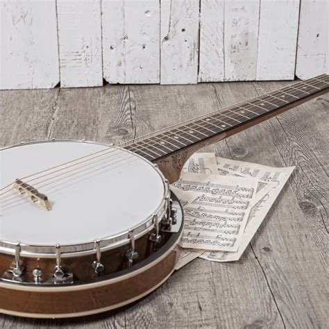 6 Best Banjo Strings In 2022 With Buying Guide - NextInstrument