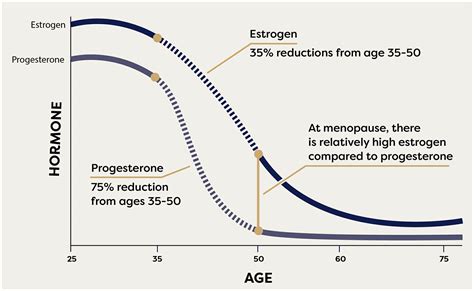 What's Estrogen Dominance & 18 Reasons You Should Care - MenoMe®