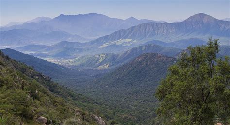 La Campana National Park Hiking Day Trip - Santiago | FREETOUR.com