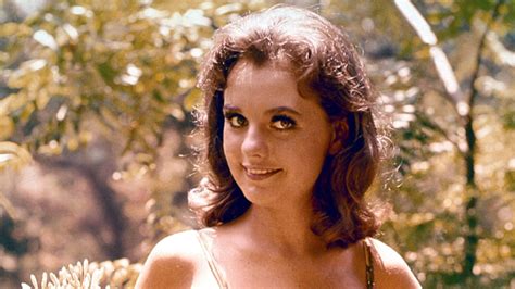 Hollywood Pays Tribute to Beloved 'Gilligan's Island' Actress Dawn Wells