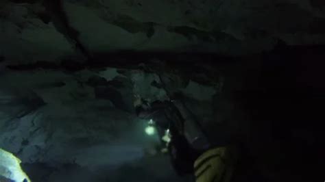 Cenote Cave Scuba Diving In Mexico - Wid... | Stock Video | Pond5