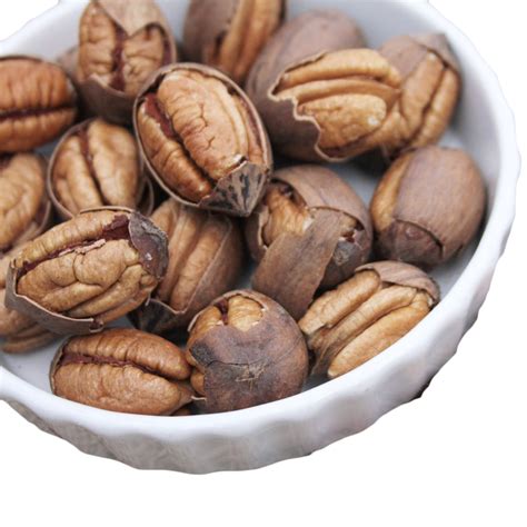 Cracked in the Shell Pecans - Missouri Grown 3 pound bag - Dutchman's Store