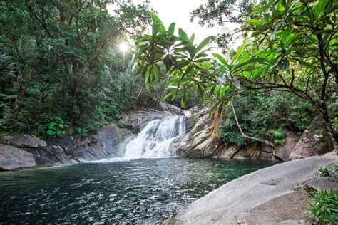 Best Hiking Trails in Wooroonooran National Park - Trail Hiking Australia