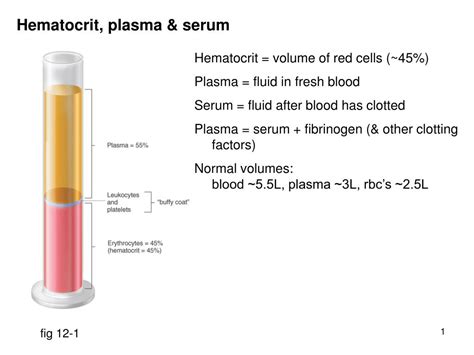 PPT - Hematocrit, plasma & serum PowerPoint Presentation - ID:310842