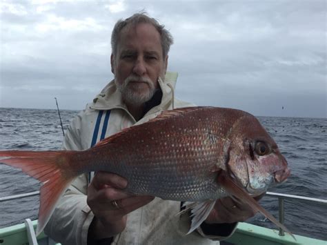 Snapper fishing | Fishing Charters Sydney