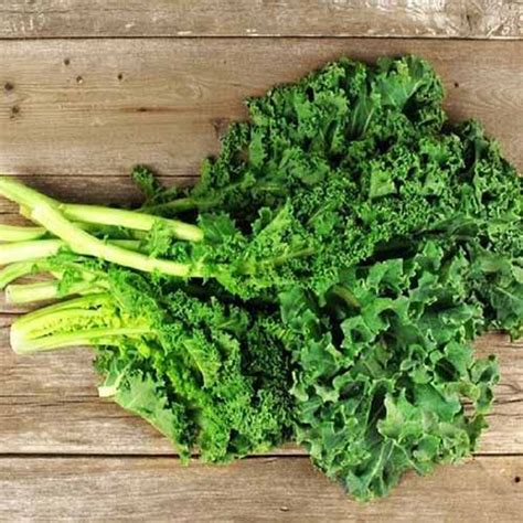 13 of the Best Kale Varieties | Gardener’s Path