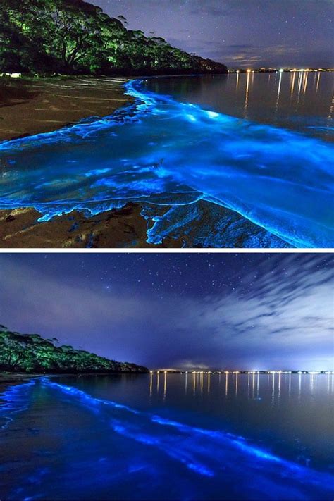 15 of the World's Most Unique & Awesome Beaches | Bioluminescent bay ...