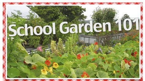 School Garden - AgCulture