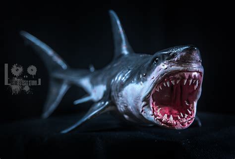 A Great White Shark Sculpture & Color Effect — Stan Winston School of ...