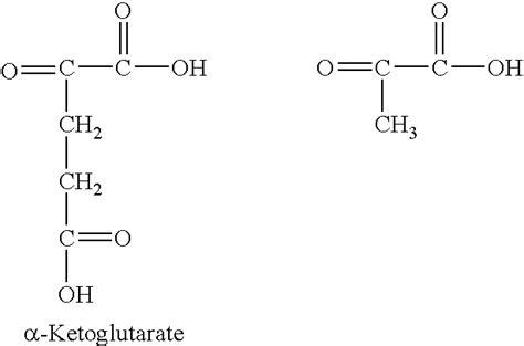 Alpha Ketoglutaric acid - Alchetron, the free social encyclopedia