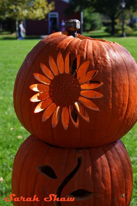 20+ Sunflower Pumpkin Carving Stencil