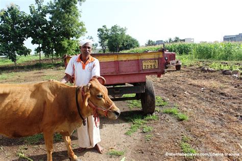 Off the beaten path in Maharashtra: Phaltan travel guide | Wannabemaven