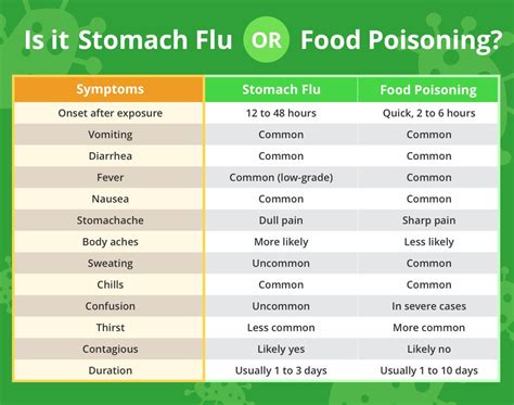 Stomach Flu Symptoms 2024 - Maye Stephi