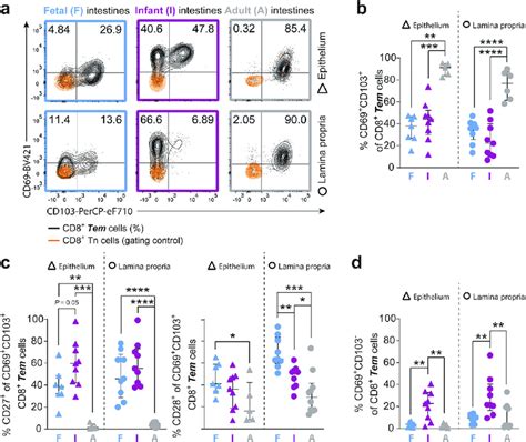 Tissue-resident CD69 + CD103 + CD8 + T cells increase after infancy. a... | Download Scientific ...