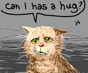 Sad Cat Drawing at GetDrawings | Free download