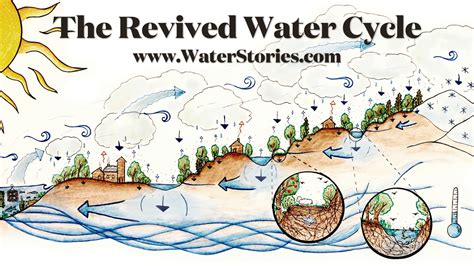 Water Stories - The Revivied Water Cycle