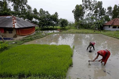 Organic Farming in the Tropical, Disaster-Prone Coasts: Interventions ...