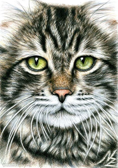 Realistic easy cat drawing - bezyspirit