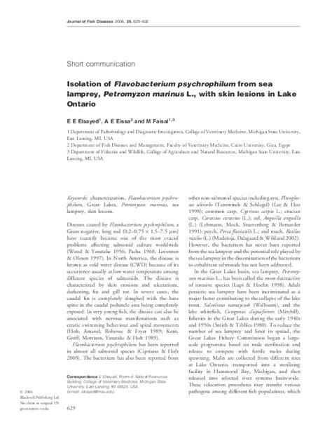 (PDF) Isolation of Flavobacterium psychrophilum from sea lamprey, Petromyzon marinus L., with ...