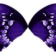 Butterfly Wings PNG Cutout - PNG All | PNG All