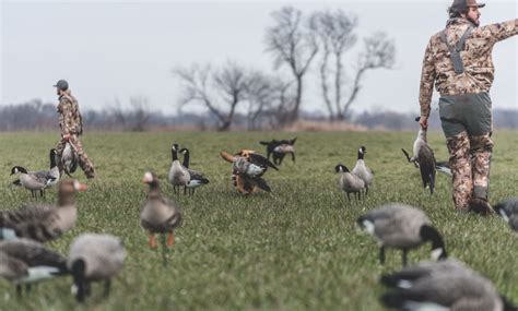 How to Goose Call - A Beginners Guide to Goose Hunting