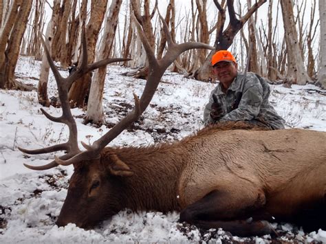 Wyoming Elk Hunting Outfitters | Best of the West Outfitters