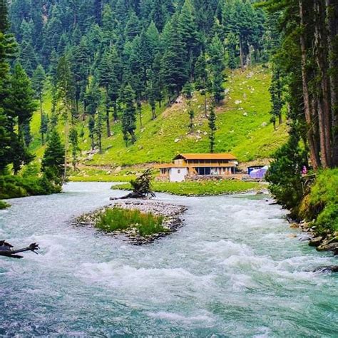 Pin by Asif Athwal17🇵🇰🇲🇾 on Waooo_Pakistan | Forest view, Outdoor ...