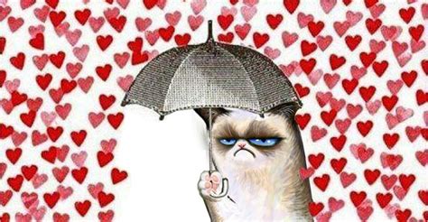 Happy Valentine’s Day – Deal With It! in 2023 | Grumpy cat valentines, Grumpy cat, Grumpy