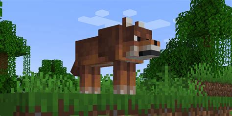 Minecraft: All Wolf Variants From Java & Bedrock Editions