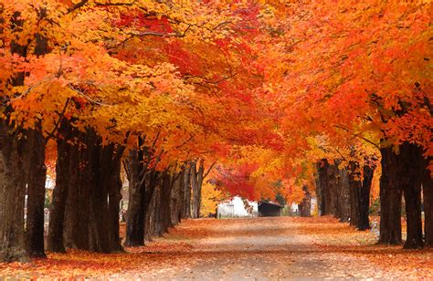 Photo of the Week: Fall Trees in Harrison | Only In Arkansas