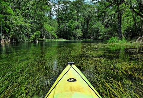 Dive into these 6 natural springs in Florida - Florida Beyond