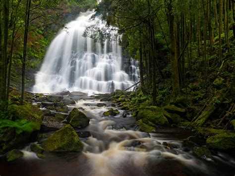 Franklin-Gordon Wild Rivers National Park | Nature and wildlife | Discover Tasmania