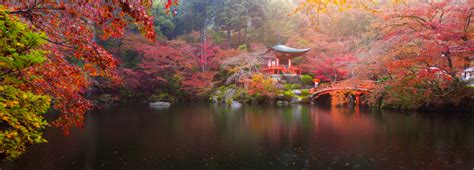 Wild Landscapes, Timeless Culture | Ultimate 10 Tours To Take In Japan ...