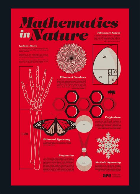 https://www.behance.net/gallery/57074519/AFE-Mathematics-in-Nature | Mathematics, Education ...