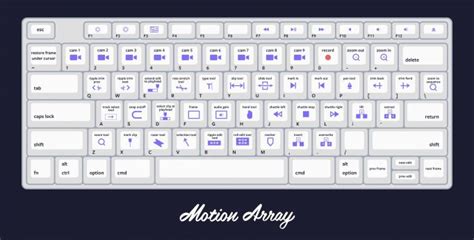 Premiere Pro Keyboard Shortcut Infographic from Motion Array - PremierePro.net