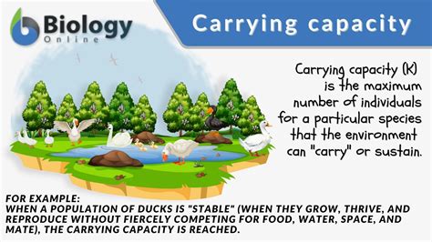 Carrying capacity - Definition and Examples | Biology Online Dictionary