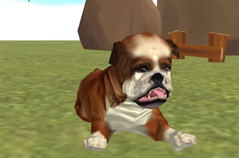 Virtual pet app for Android review of Puppy Dog 3D - Gearbrain