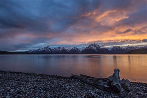 a tree stump sitting on the shore of a lake at sunset with mountains in the background