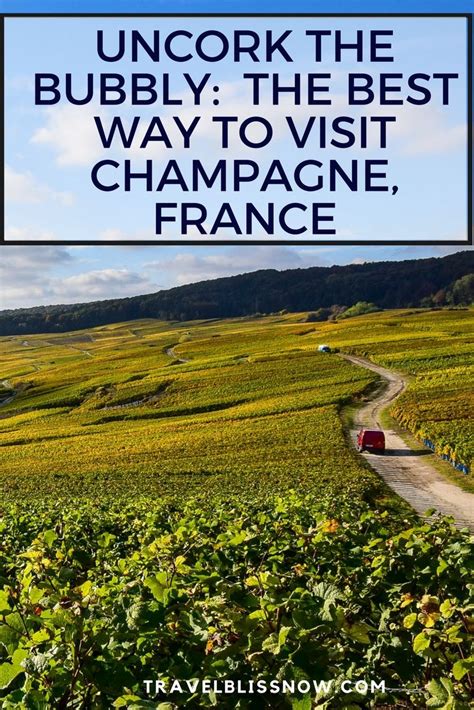 Uncork the Bubbly: The Best Day Tour to Champagne, France | Day tours, France travel, France