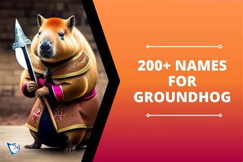 200+ Names for Groundhog With Meaning - NamesRhino