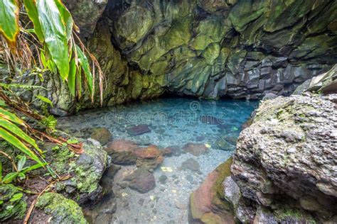 Fresh Water Caves In The Lava At Waianapanapa State Park Stock Photo - Image: 49277951