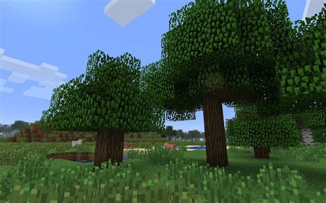 Every type of tree in Minecraft and where to find them