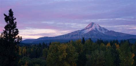 Mt. Hood Volcanic Mountain Cascade Range Oregon Territory Stock Image - Image of peak, evergreen ...