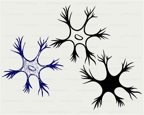 Neuron Svg/neuron Clipart/neuron Svg/neuron Silhouette/neuron | Etsy