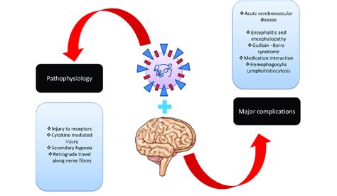 Major neurological complications associated with COVID-19. | Download ...