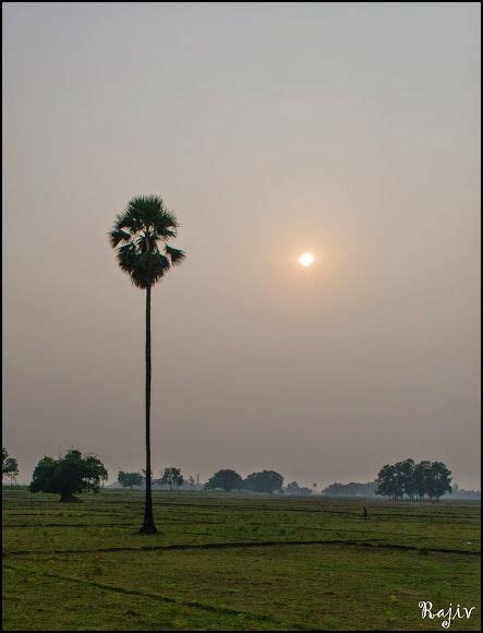 Chhath Puja 2019, Rituals and Traditions of Chhath Puja in Bihar - Tripoto